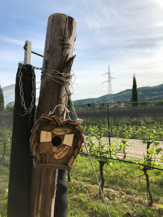 Maso Maroni Agriturismo Quinto di Valpantena Exterior foto